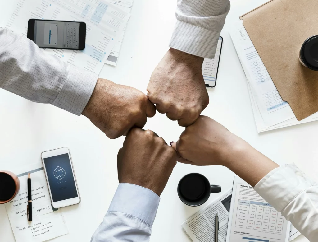 Como escolher uma plataforma de gestão para a sua empresa?